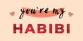 You are my habibi - means my love or lover in arabic language, vector illustration card or design for t-shirt, with low poly art s Royalty Free Stock Photo